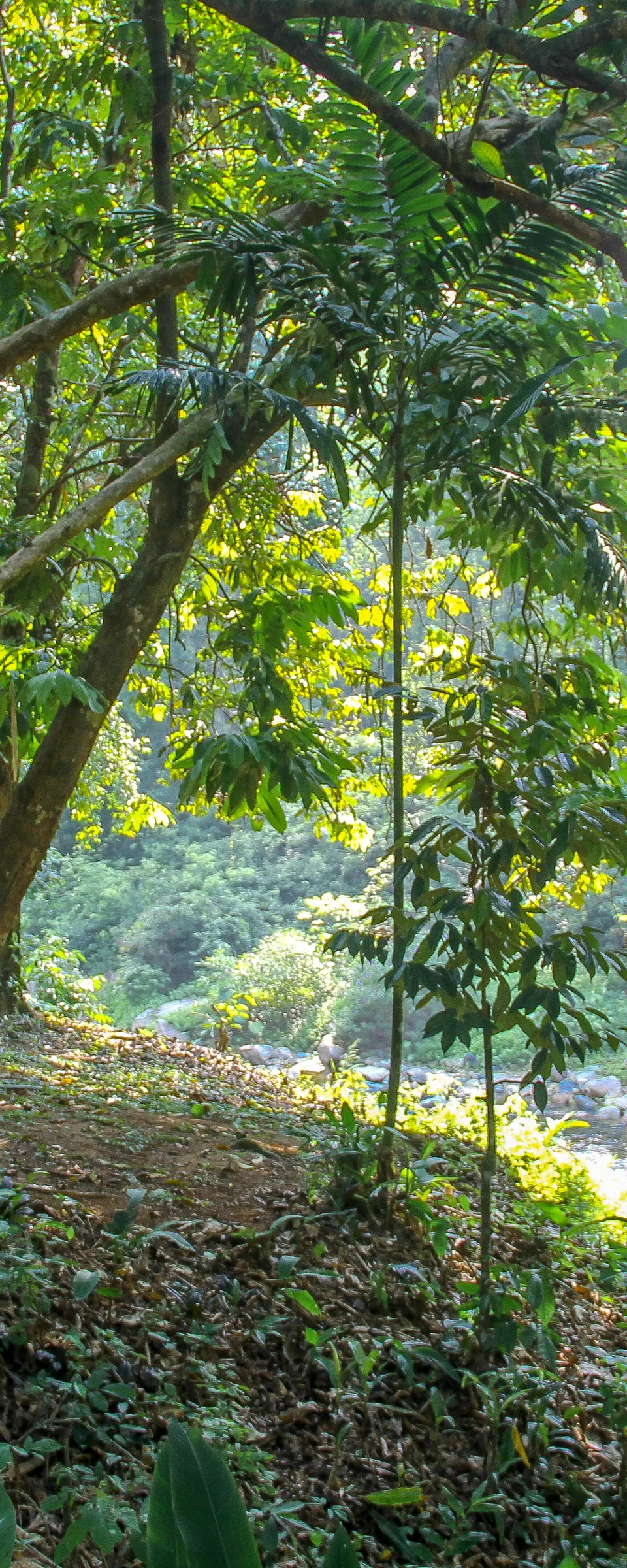 Khao Yai Wildlife Trek, 2 Days from Bangkok