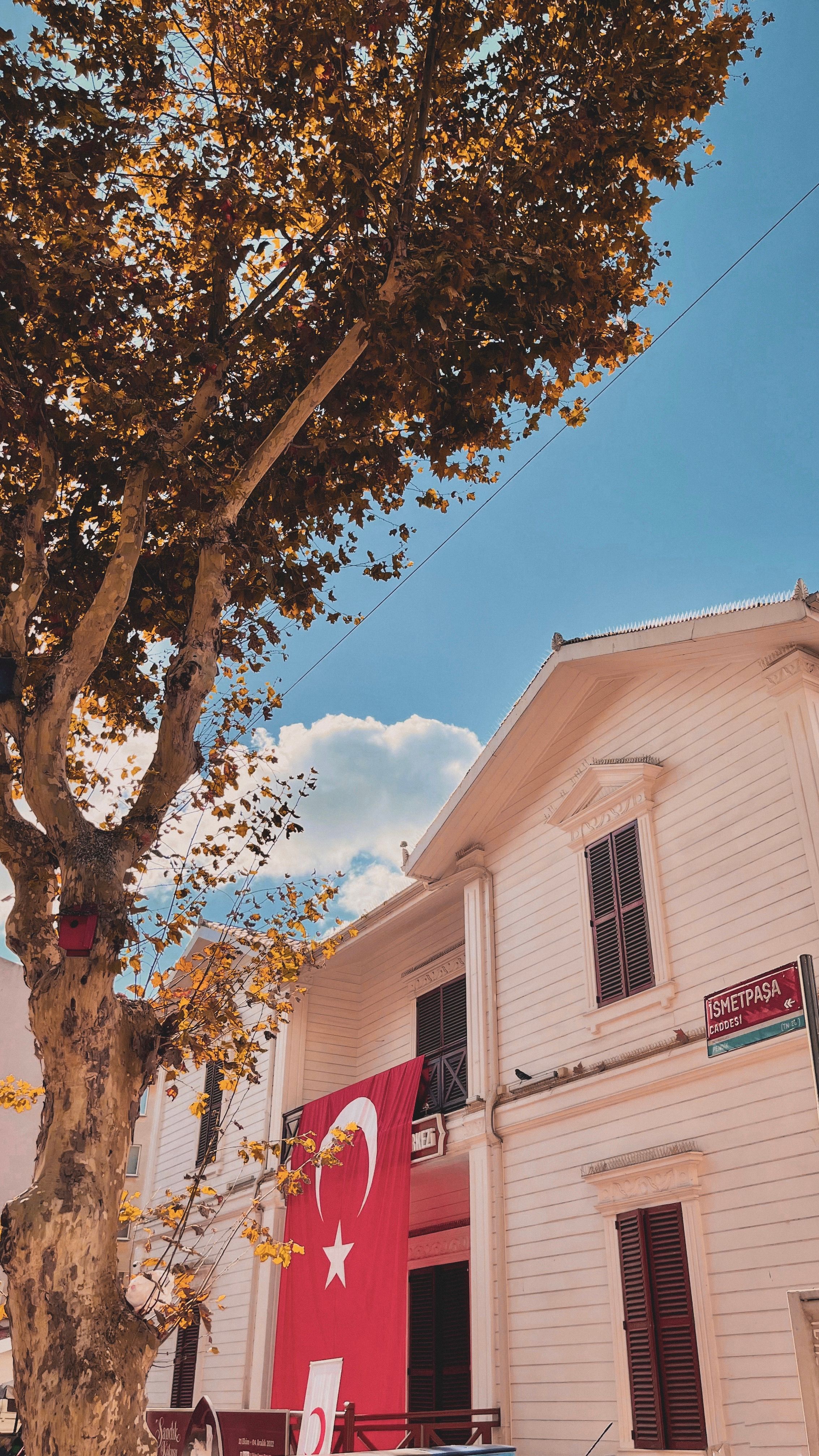 Historic Istanbul street featuring Turkish flag and traditional architecture under a clear blue sky.