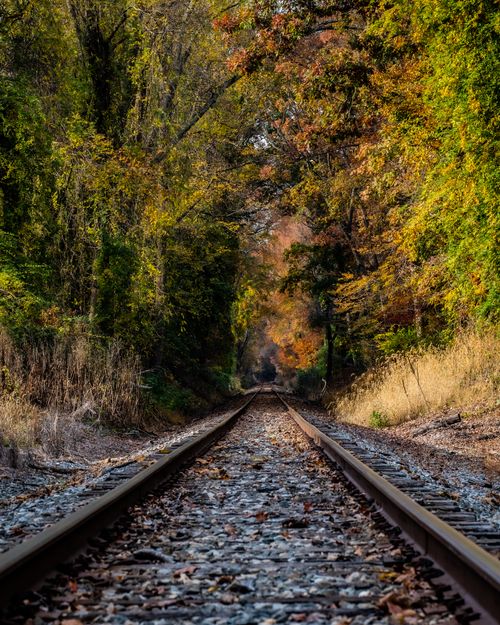 Free Railroad tracks in Bowie, MD surrounded by vibrant autumn foliage, showcasing nature's beauty. Stock Photo