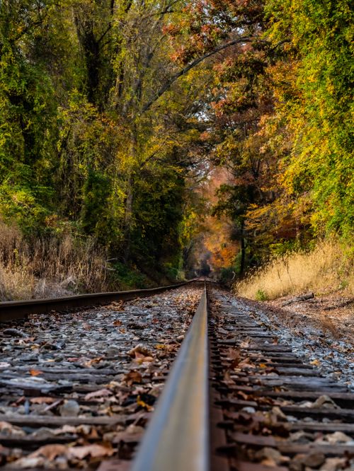 Free Serene railway surrounded by autumn foliage in Bowie, MD. Perfect for travel and nature themes. Stock Photo