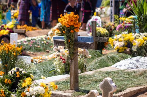 Free Colorful Día de Muertos scene at Sumpango cemetery, with flowers and decorated graves. Stock Photo
