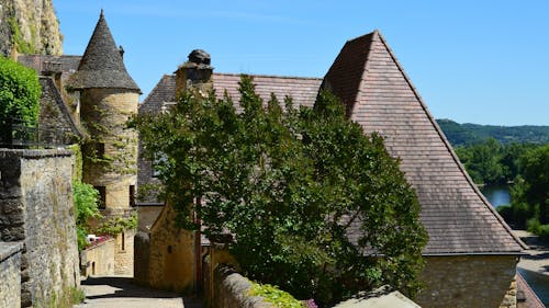 Gothic Castle and Tree