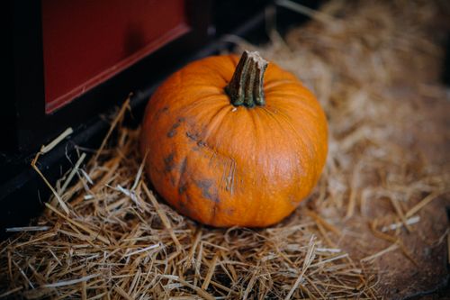 Free Close-up of an orange pumpkin on straw, perfect for fall themes and Halloween. Stock Photo
