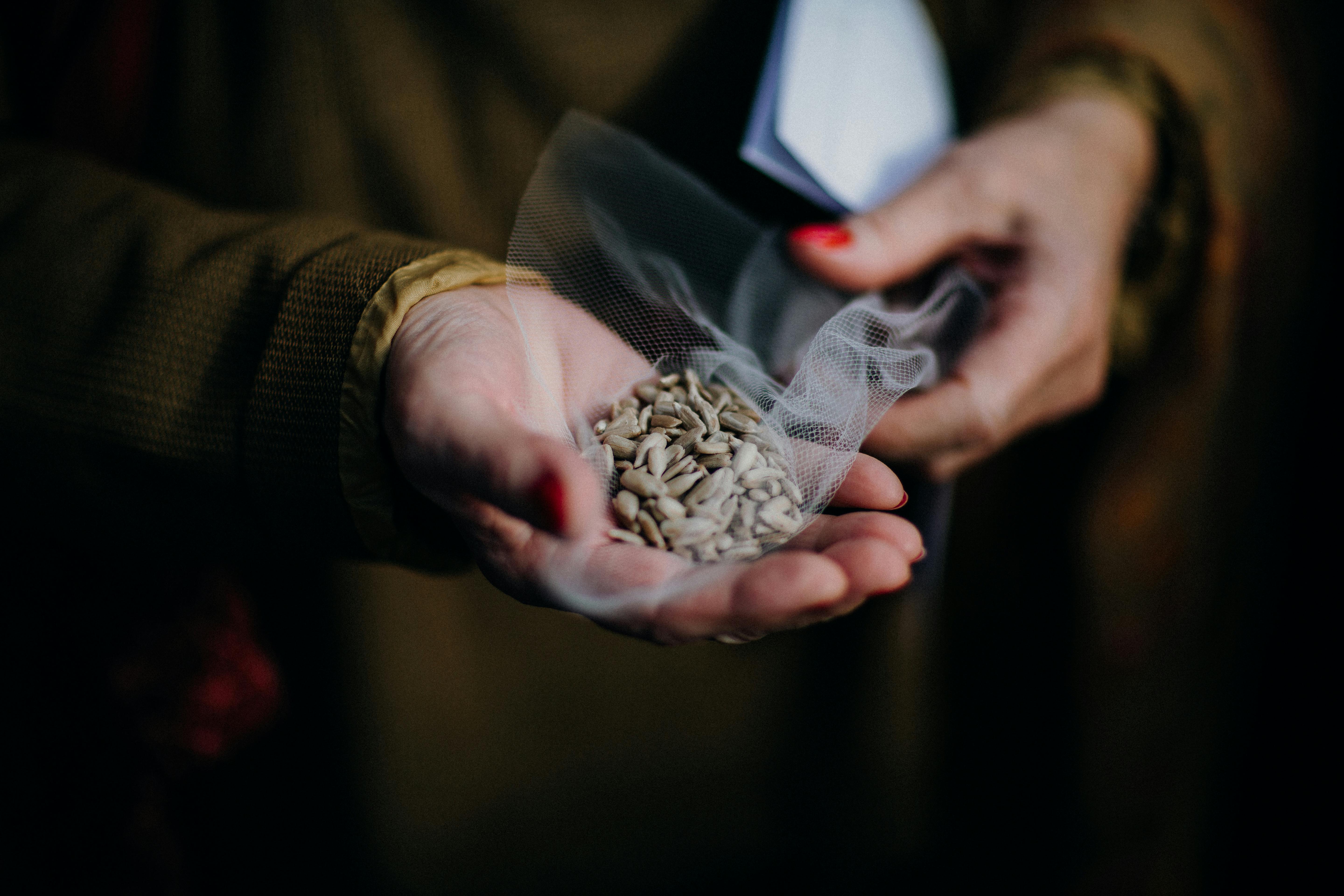 Tracking seed viability and age on a digital spreadsheet