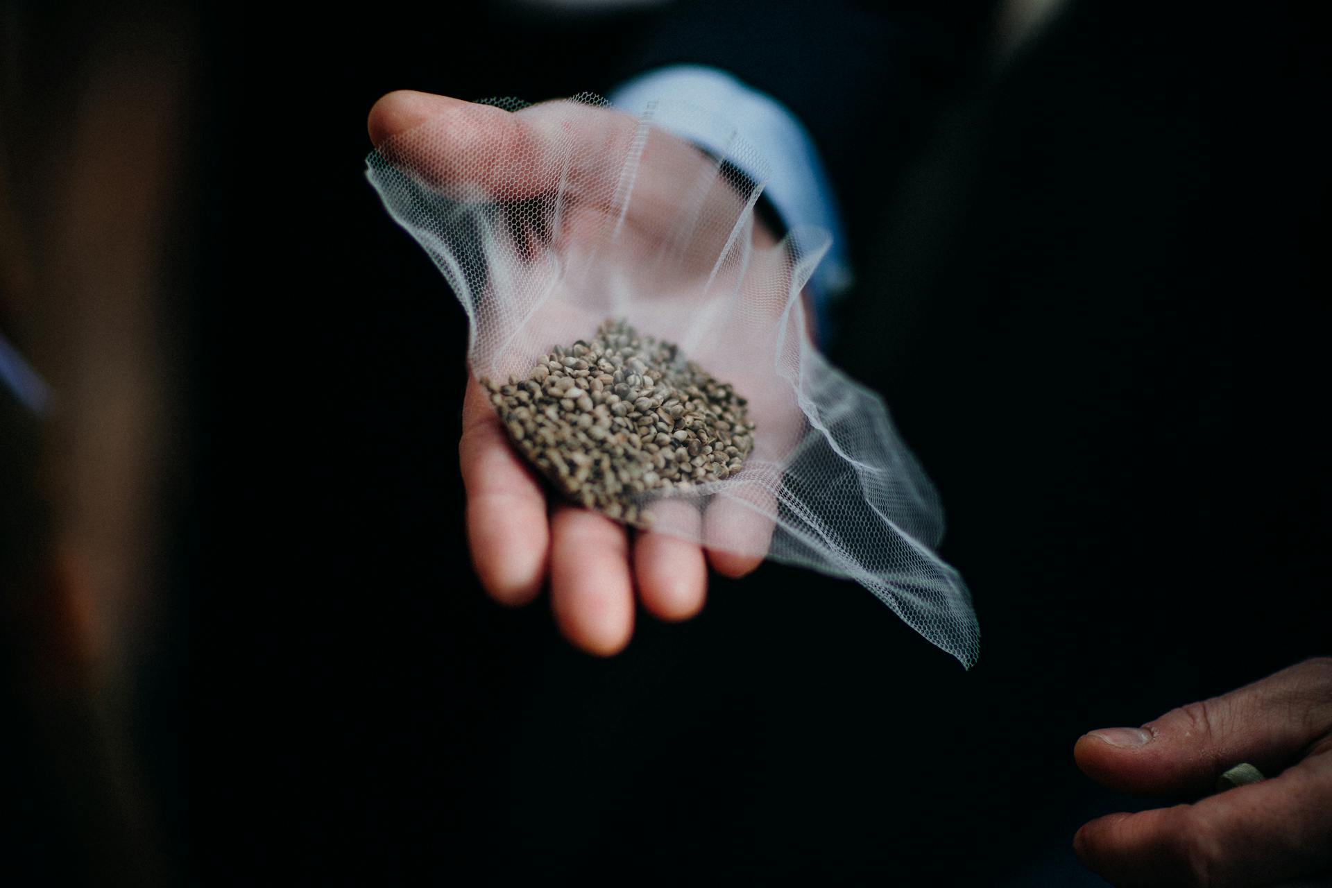 Hand holding seeds wrapped in mesh, symbolizing agriculture or growth.