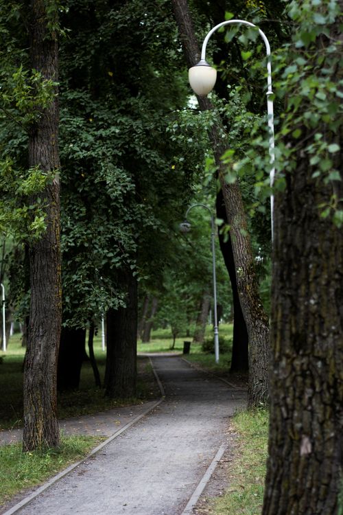 Free Serene footpath in a lush green park, perfect for a relaxing stroll in nature. Stock Photo