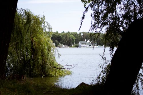 Free Serene lake view framed by willow trees, with distant houses across shimmering water. Stock Photo