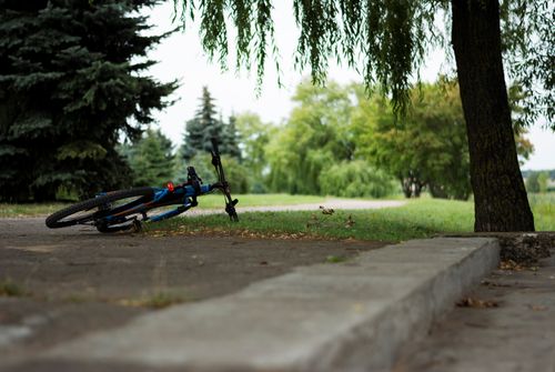 Free A blue bicycle lying on a park path surrounded by lush greenery on a summer day. Stock Photo
