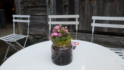Çiçekler, iskemleler, vazo içeren Ücretsiz stok fotoğraf