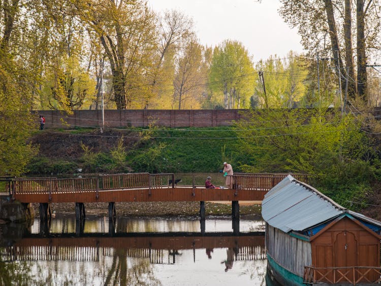 People On Wooden Dock Near Lake