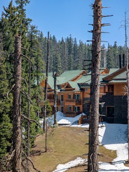 A picturesque winter resort nestled in Gulmarg, surrounded by tall pine trees and snow-covered grounds.