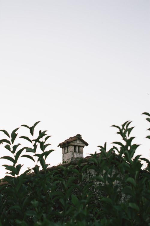 Free A picturesque stone chimney peeks from lush green foliage under a clear sky, capturing a serene outdoor scene. Stock Photo