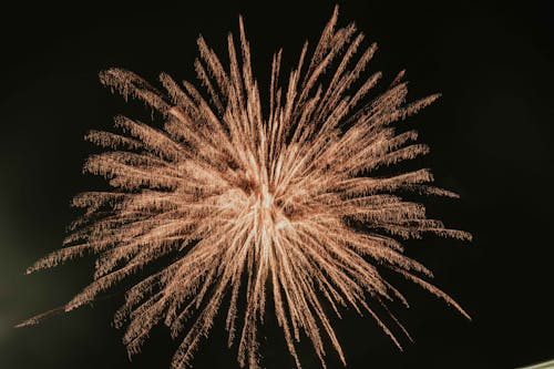 Fireworks in the Night Sky 