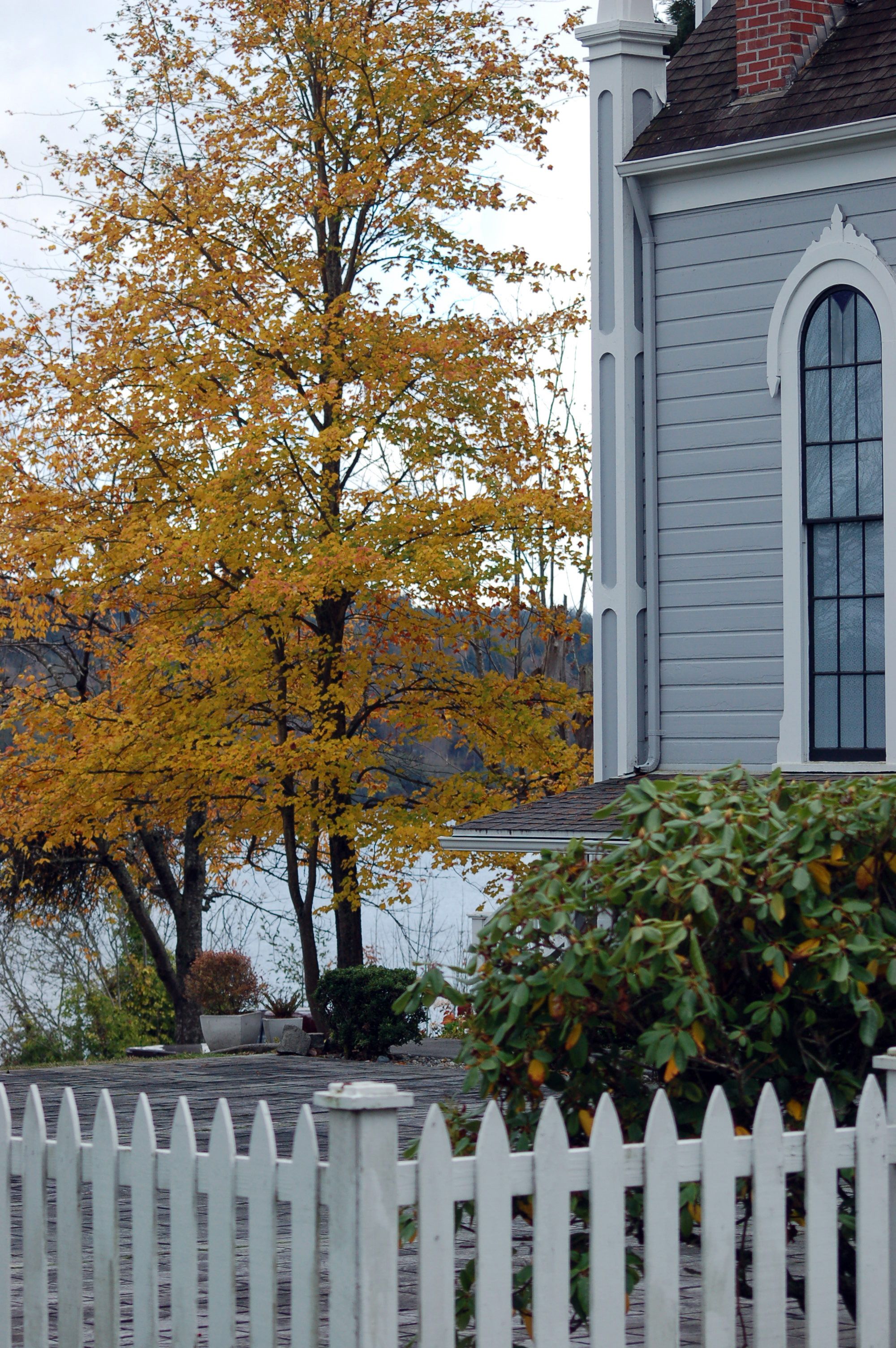 Wooden House near Green Trees · Free Stock Photo