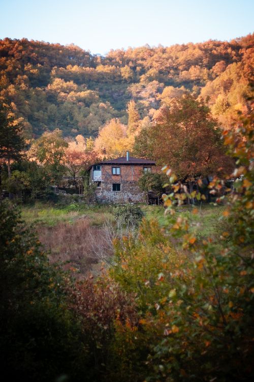 Free A picturesque stone cottage surrounded by vibrant fall foliage in a serene forest setting. Stock Photo