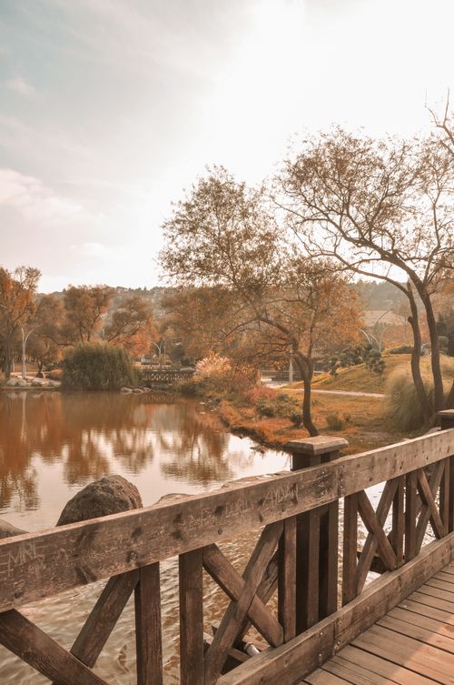 Free Picturesque autumn scene featuring a wooden bridge over a serene pond in İstanbul. Stock Photo