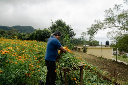 Huerta Is Remembered as a Labor Champion With a Multidimensional Legacy