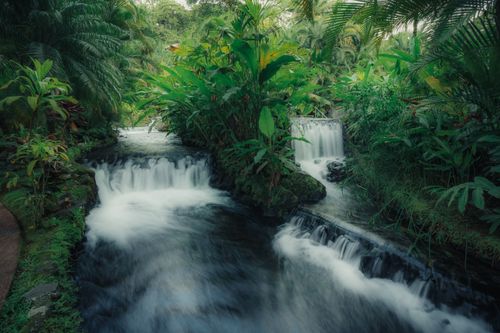 Free A tranquil waterfall flowing through a lush jungle setting surrounded by dense greenery, creating a serene natural scene. Stock Photo