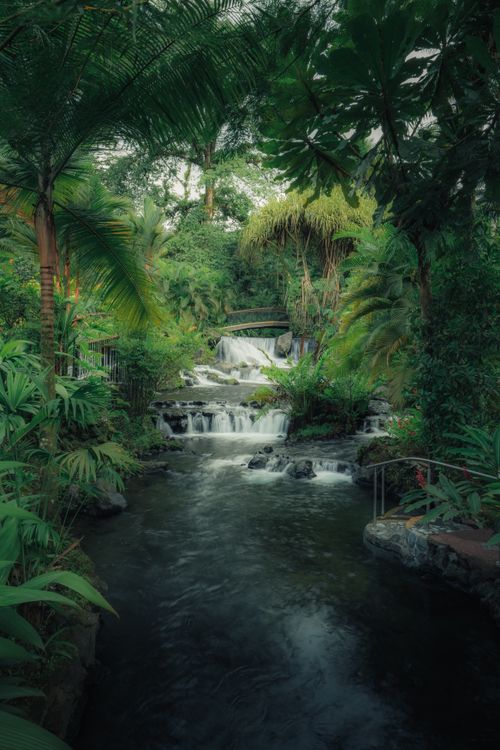 Free Scenic waterfall in tropical jungle with lush greenery and stream. Stock Photo