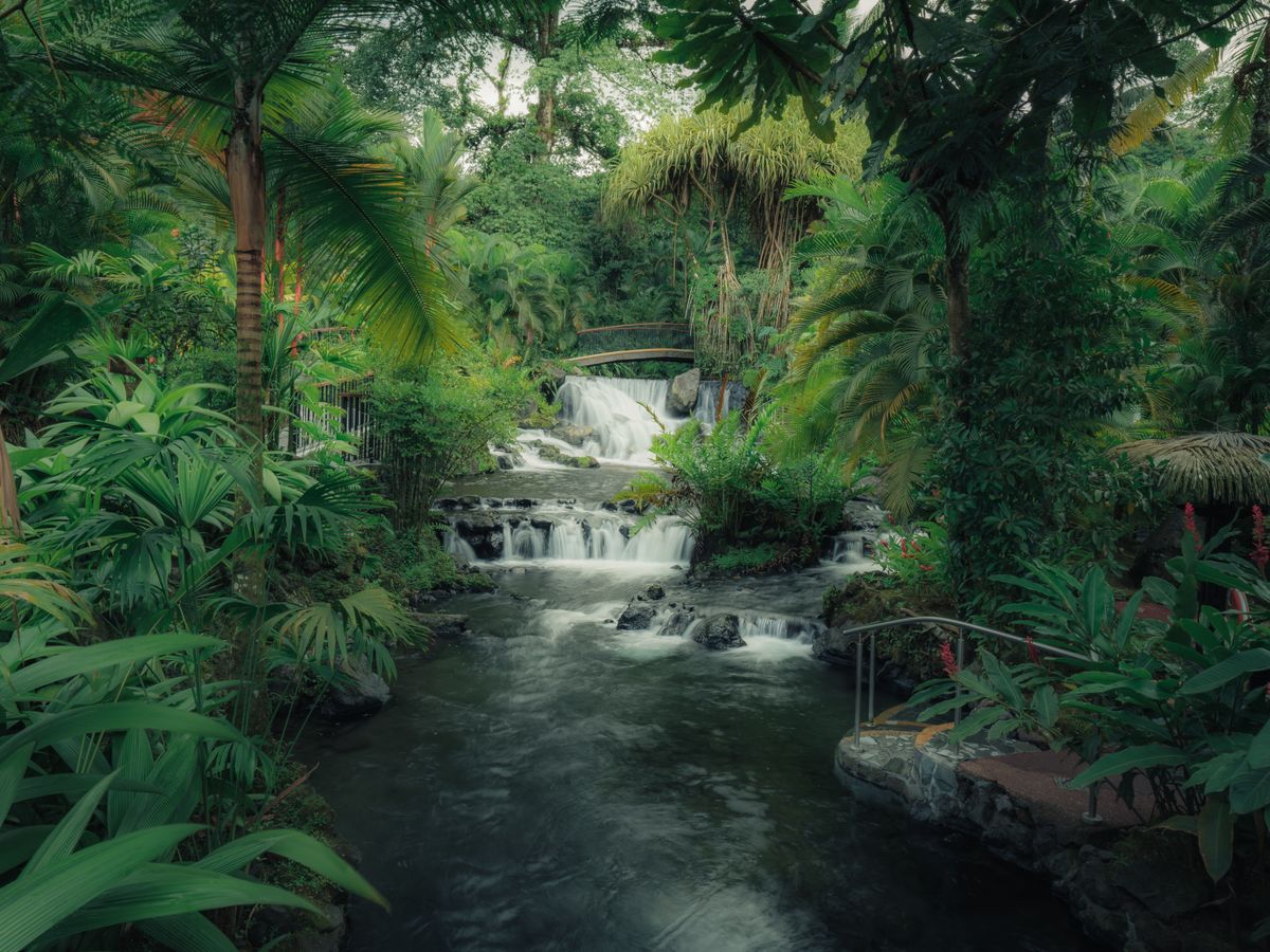 15 Day Authentic Nature Immersion Retreat in Costa Rica 2