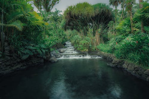 Foto profissional grátis de água, cachoeiras, corrente