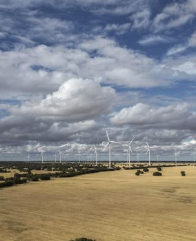 Wind turbines in a field under a cloudy sky, promoting renewable energy in Spain.