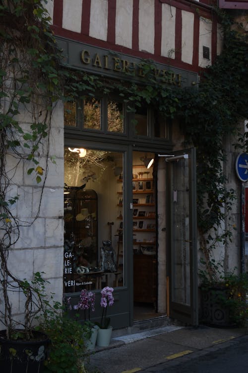 Glass Doors with Green Plants