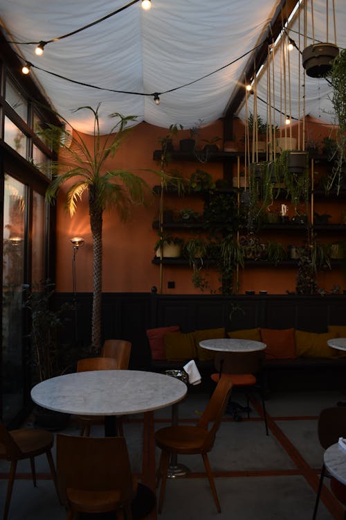 Interior of a Restaurant with a Lot of Plants 