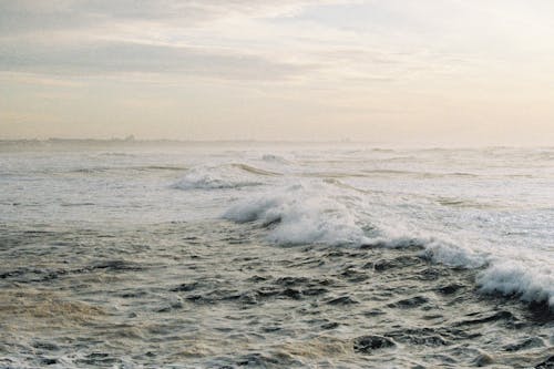 Základová fotografie zdarma na téma havárii vlny, moře, oceán