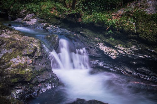 Photos gratuites de cascade, fleuve, forêt