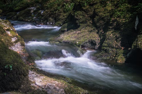강, 긴 노출, 이끼 낀 바위의 무료 스톡 사진