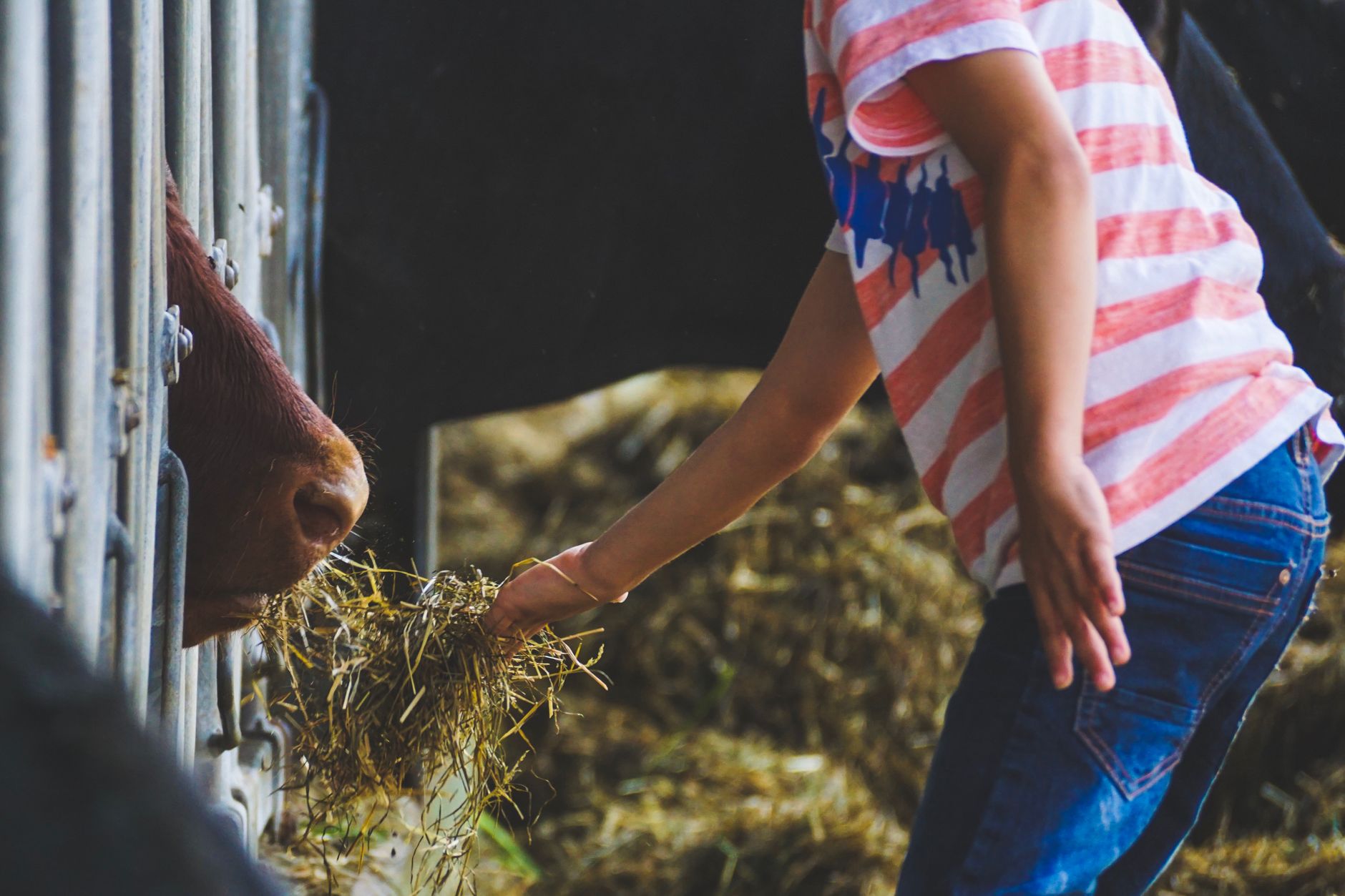 Genneper Hoeve city farm with a toddler