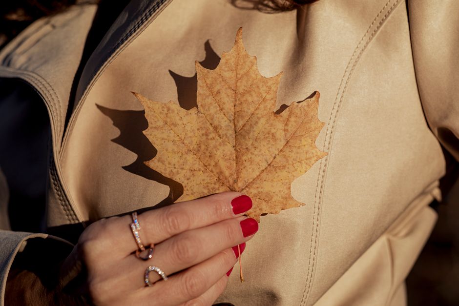 A woman holding a dried maple leaf against a tan coat. Manicured nails add a touch of elegance.