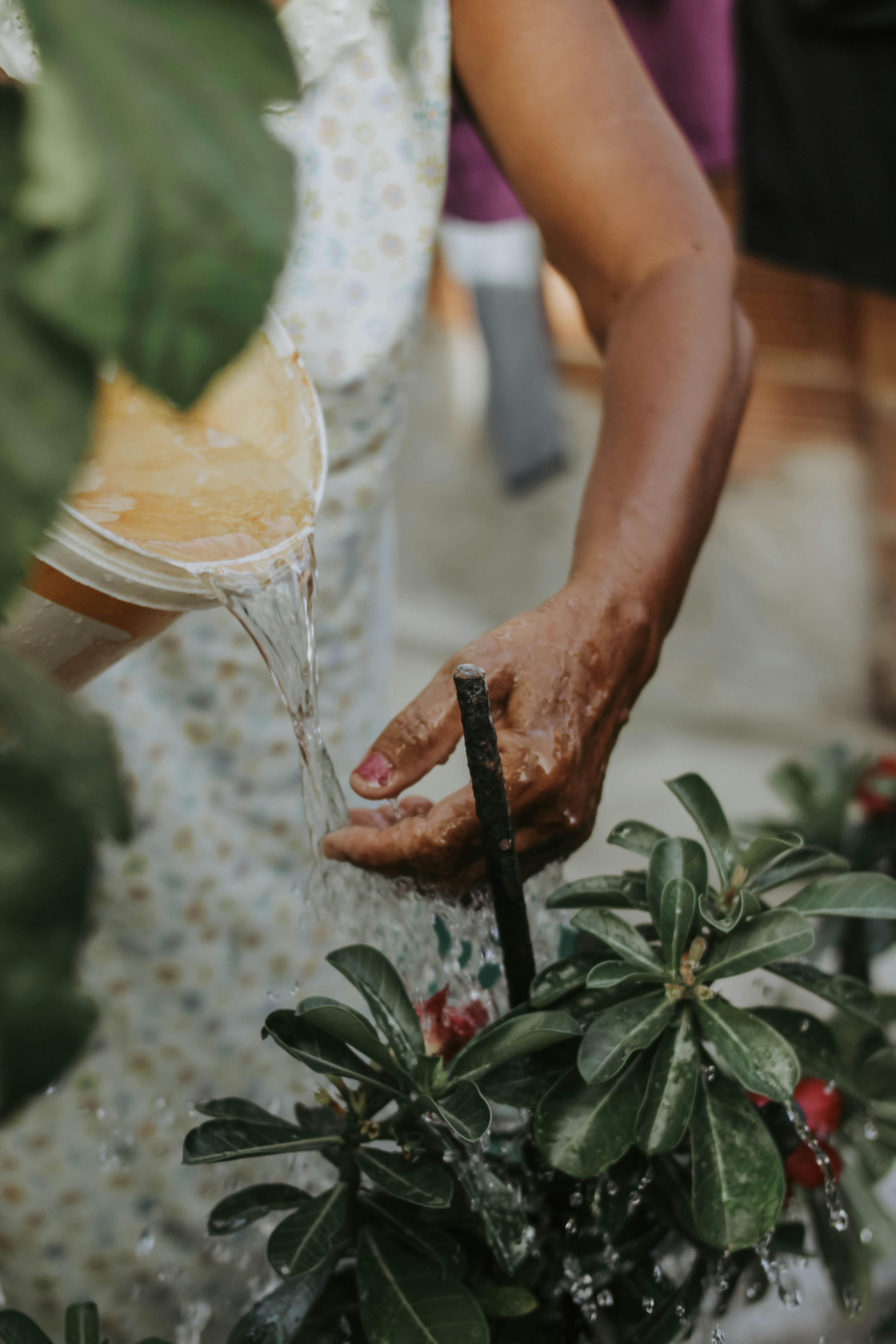 When did people start boiling water to purify it?