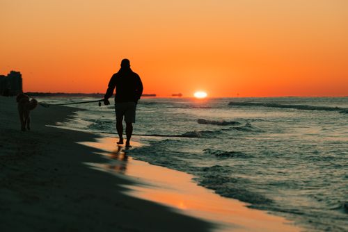 Free A man and his dog enjoy a serene walk along the beach during a stunning sunset. Stock Photo