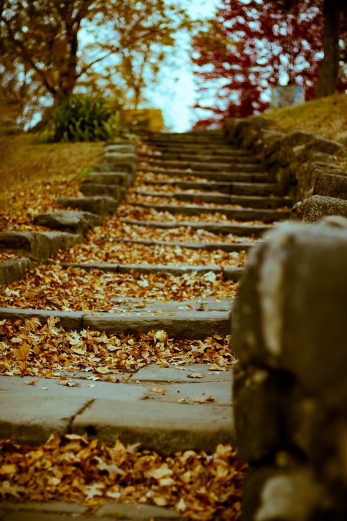 Free Fall Steps Stock Photo