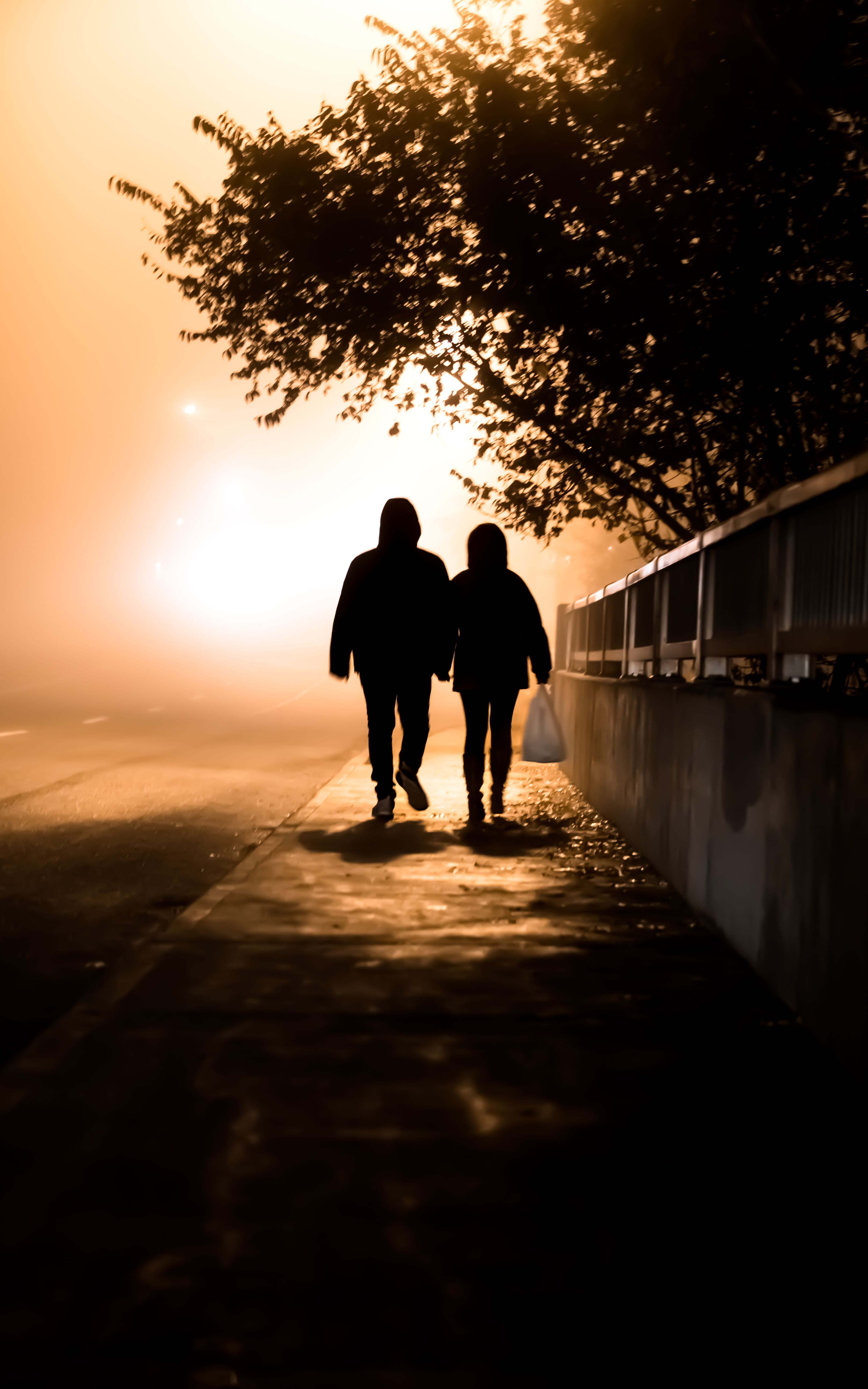 Manger Silhouette Photos, Download Free Manger Silhouette Stock Photos ...