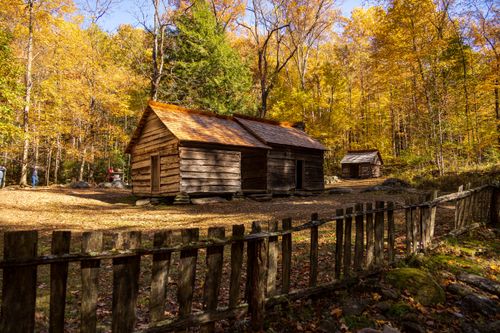 Free Charming wooden cabins surrounded by vivid autumn foliage and rustic fences in a serene forest landscape. Stock Photo