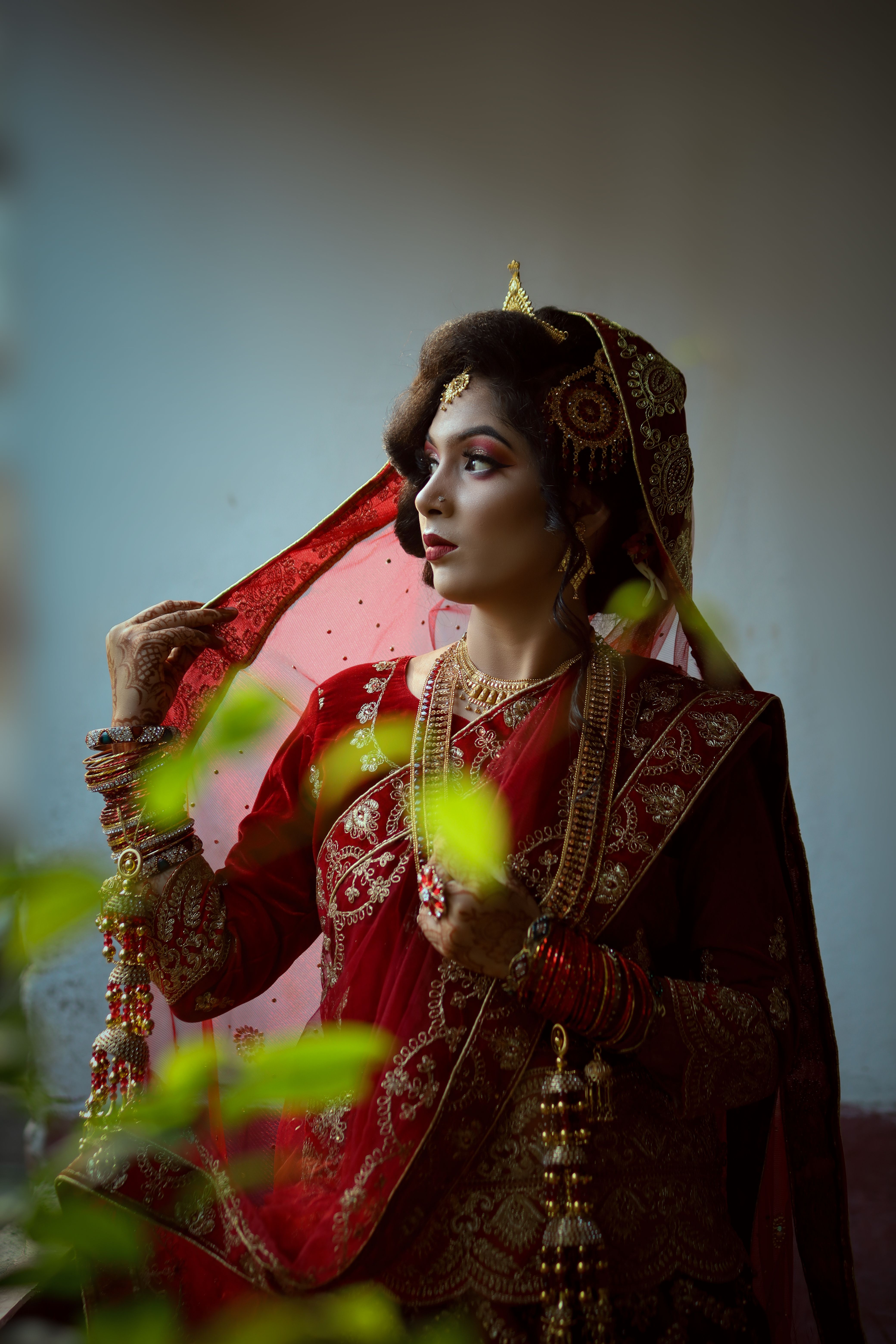 A Woman Wearing Red Sari and Gold Jewelries · Free Stock Photo
