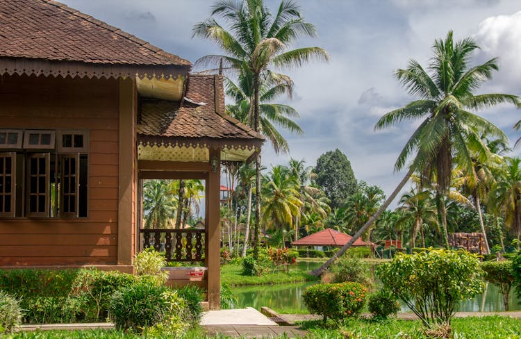 Brown House Surrounded By Green Trees