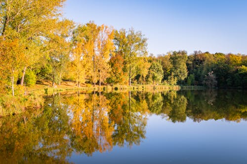 Бесплатное стоковое фото с безмятежный, водная поверхность, деревья