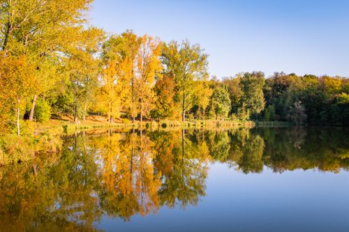 Free Tranquil autumn scene with colorful trees reflecting in a serene lake. Stock Photo