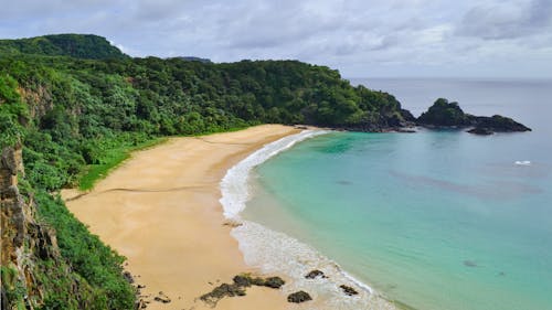 Aerial Photography of Beach