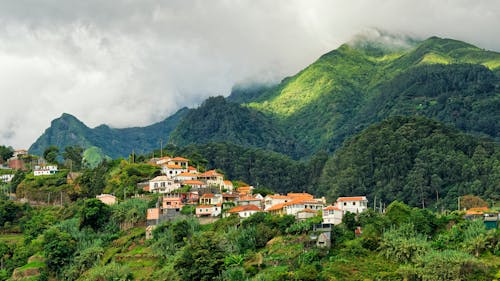 Houses Near the Green Mountain