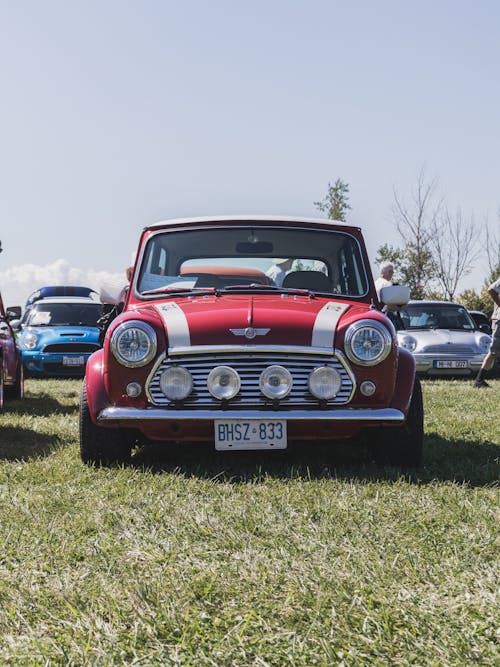 White And Red Mini Cooper 