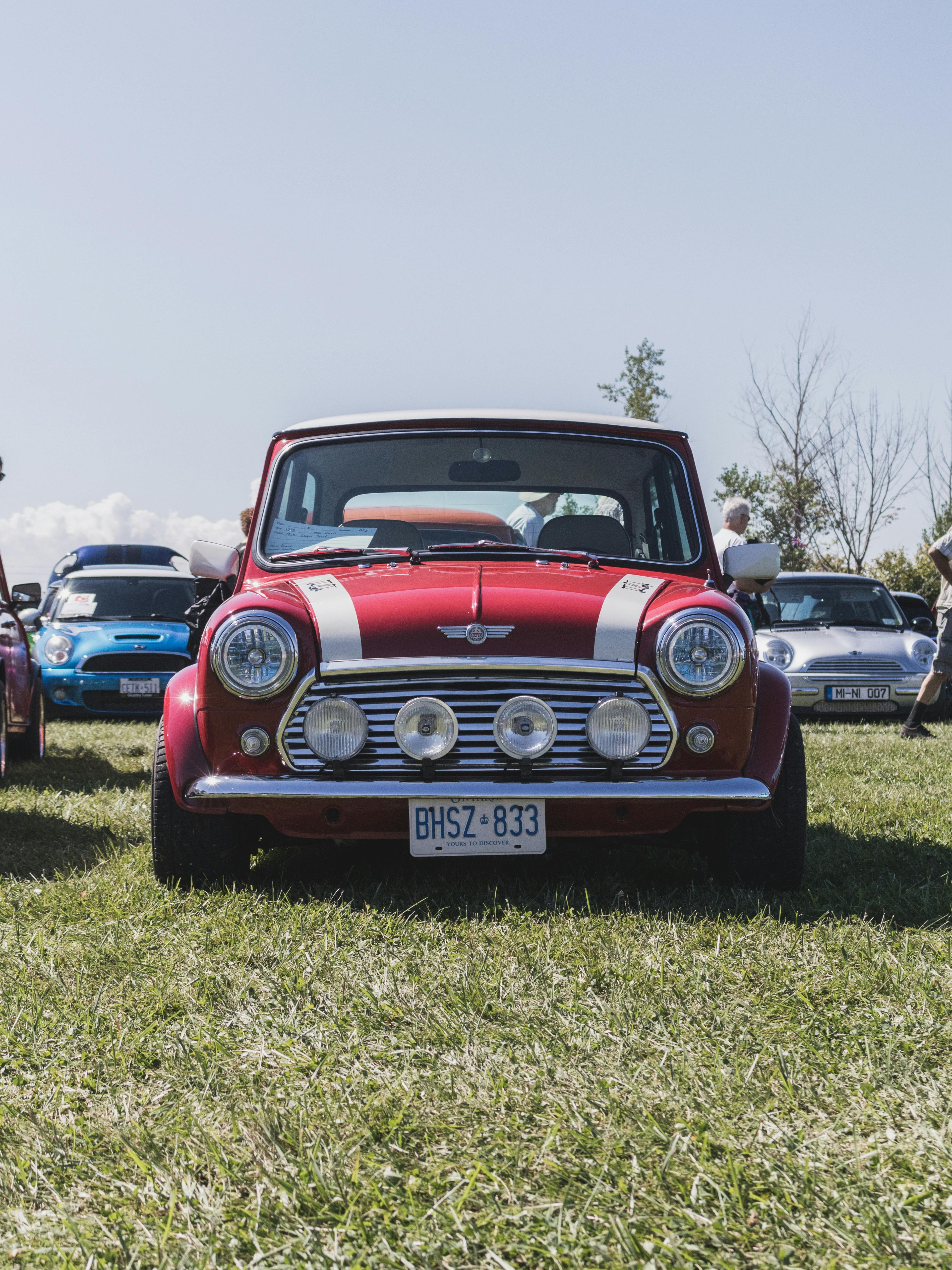 White And Red Mini Cooper · Free Stock Photo