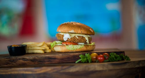 Free Chicken Burger With Fries Stock Photo