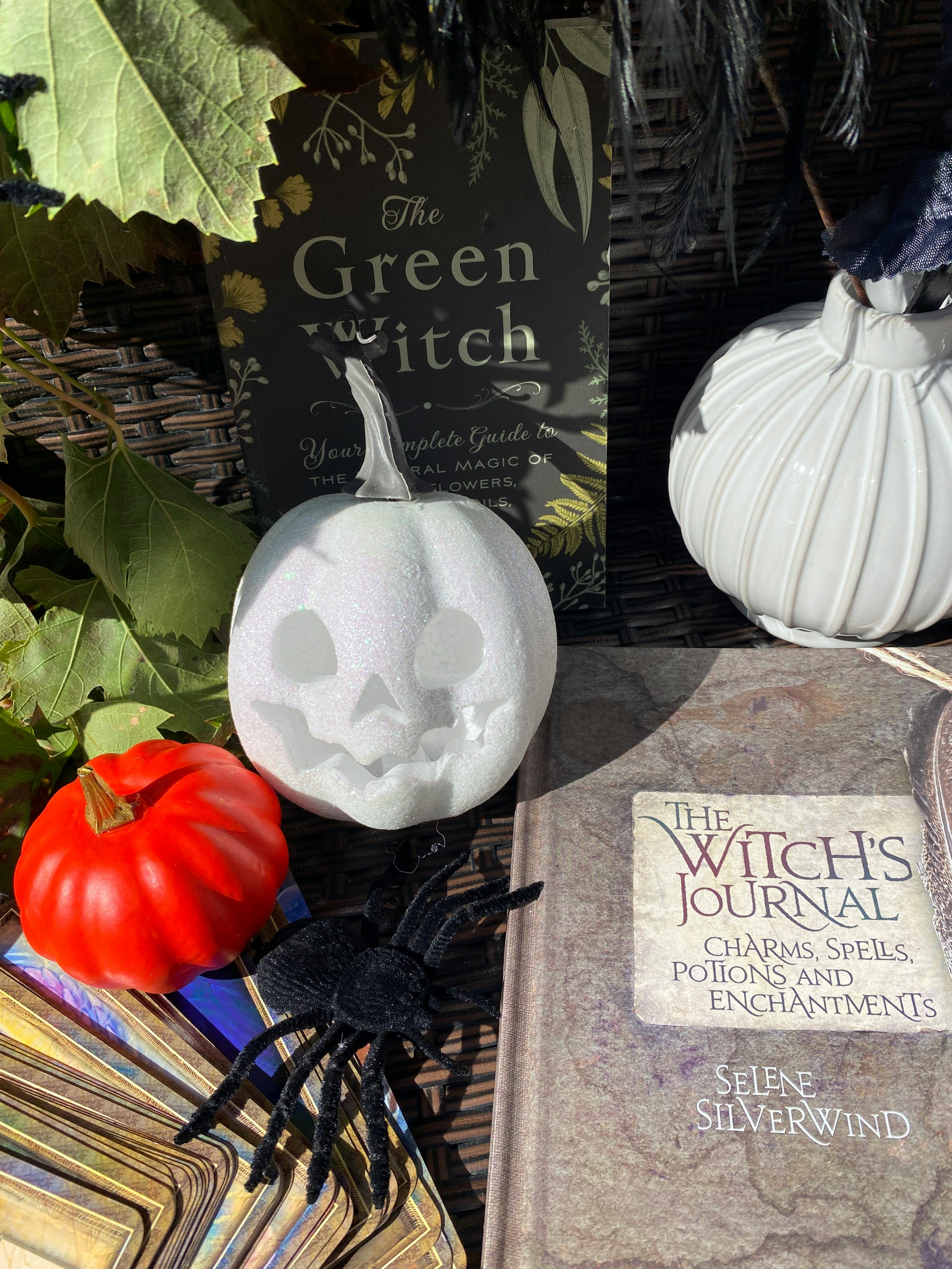 A True History Of Witchcraft