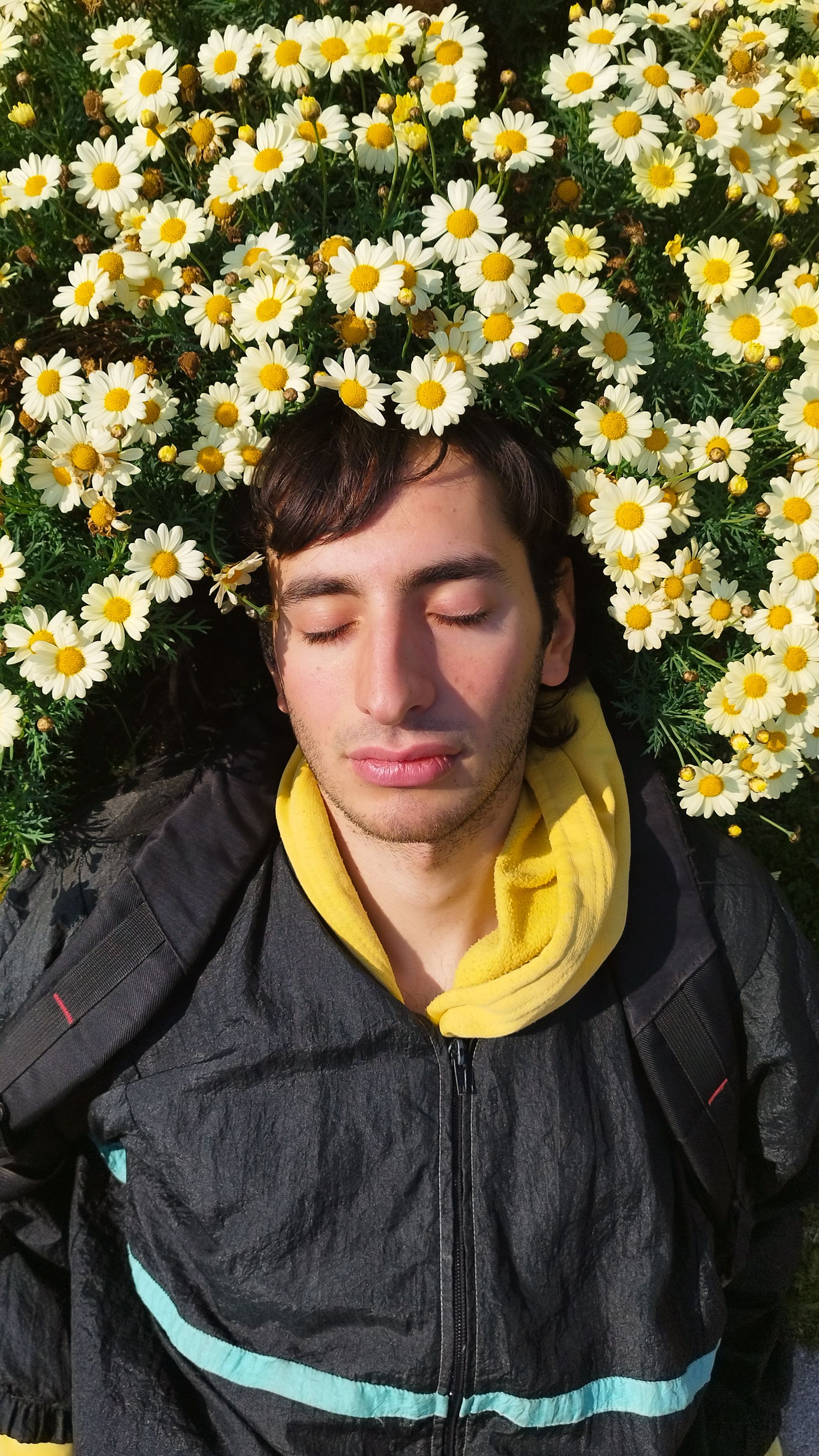 A man lying peacefully among common daisies with eyes closed, in Mar del Plata, Argentina.