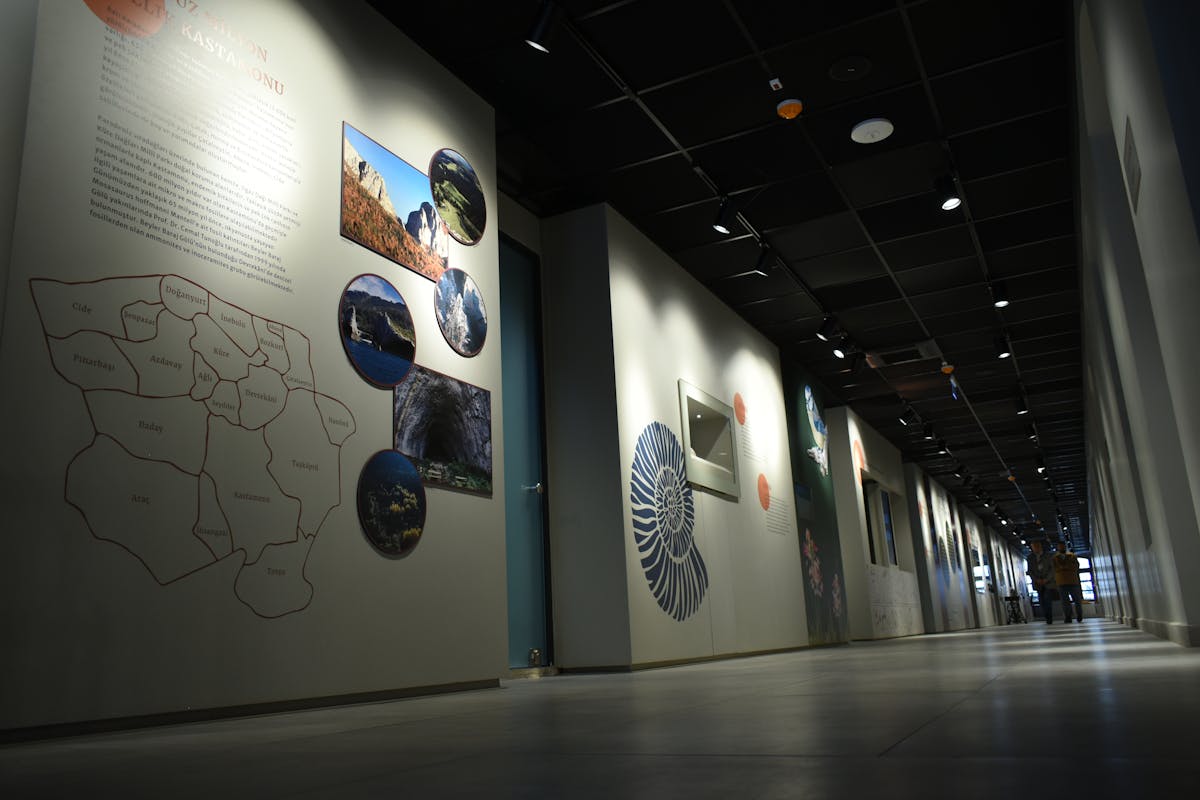Tomatoes with visible blemishes and spots from insect damage